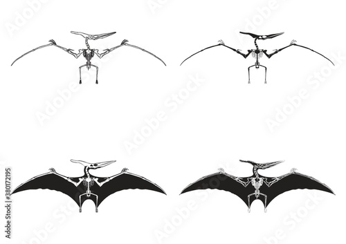 Set of pteranodon icons