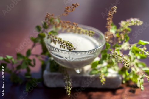 Best homemade DIY face mask to remove dead skin cells on the brown colored wooden surface consisting of some tulsi or basil leaves well mixed with curd. Shot of fresh basil leaves and curd.