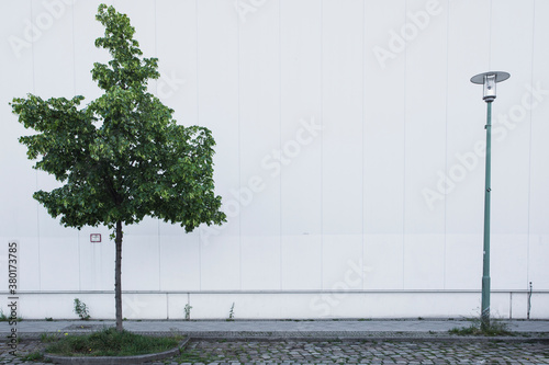 Wallpaper Mural Wall, tree and street lamp Torontodigital.ca