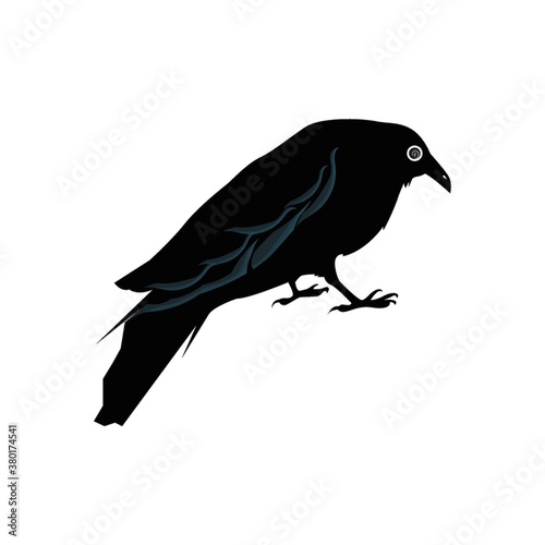Crow