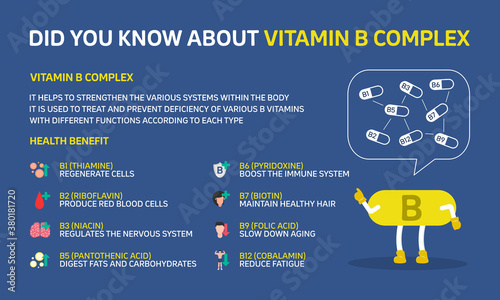Infographic illustration about Did you know about Vitamin B complex, Health care. Flat design