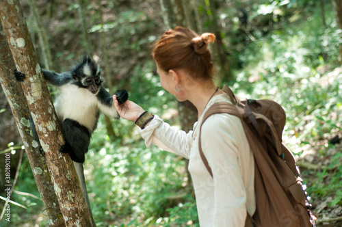 Woman With a Monkey photo