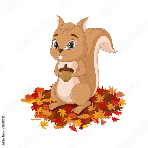 Cute squirrel cartoon on autumn leaves