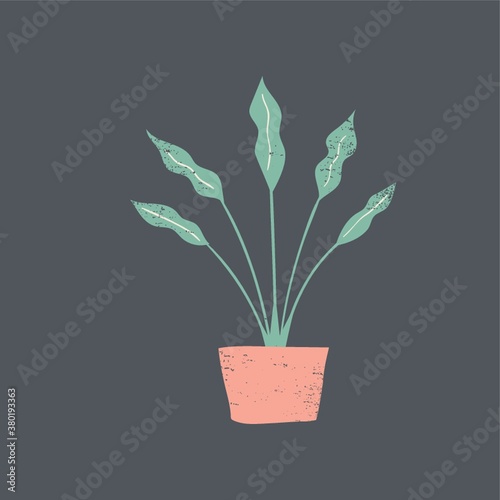Leafy plant