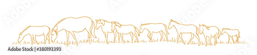 Horses are walking. Hand drawn sketch. One after another. Herd of horses in the forest. Vector illustration. Horizontal banner background.