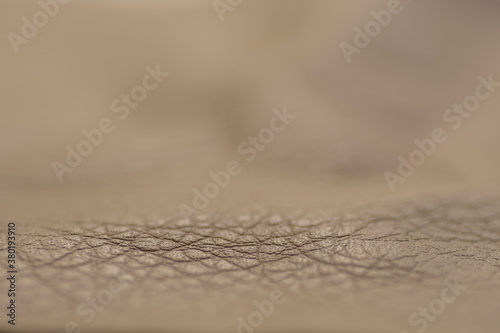 Grunge old brown leather texture background, macro, selective focus. © Dmytro Holbai