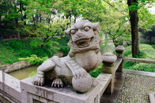 Stone in Suzhou traditional garden,China photo