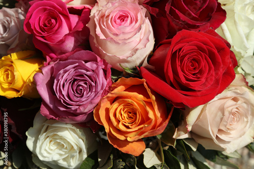 A Bouquet of wonderful different colored Roses