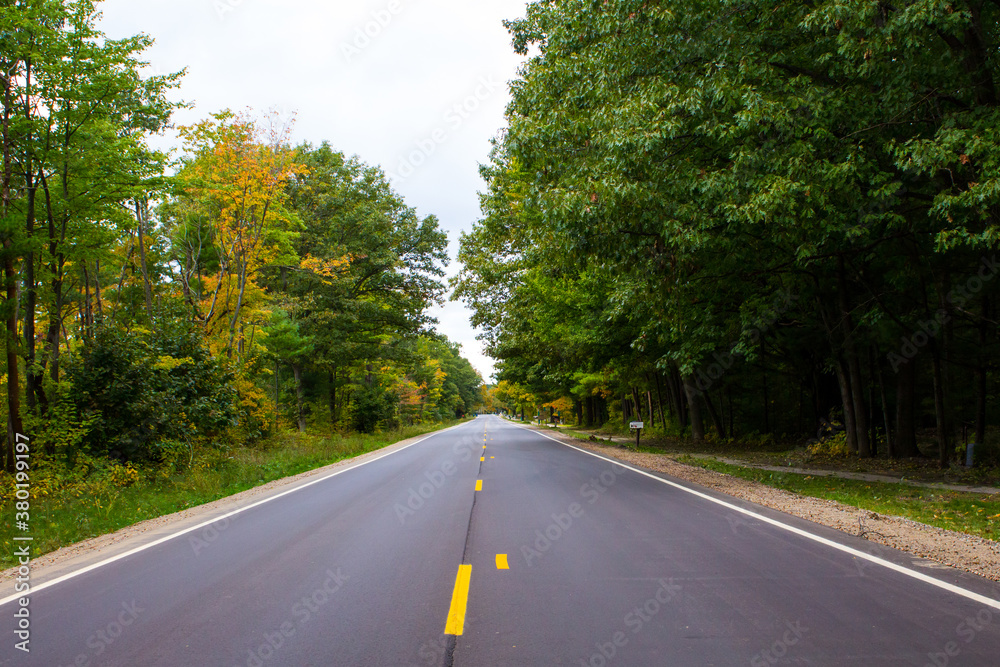 Fototapeta premium View of road with trees on a sunny day in early fall. Fall color in Michigan