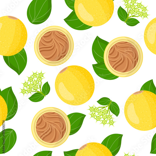 Vector cartoon seamless pattern with Strychnos spinosa exotic fruits, flowers and leafs on white background photo