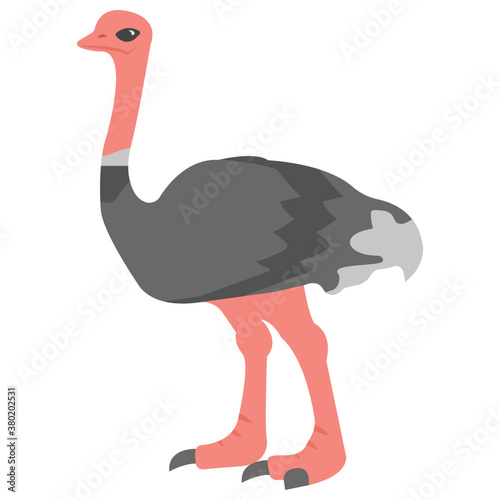 Ostrich 
