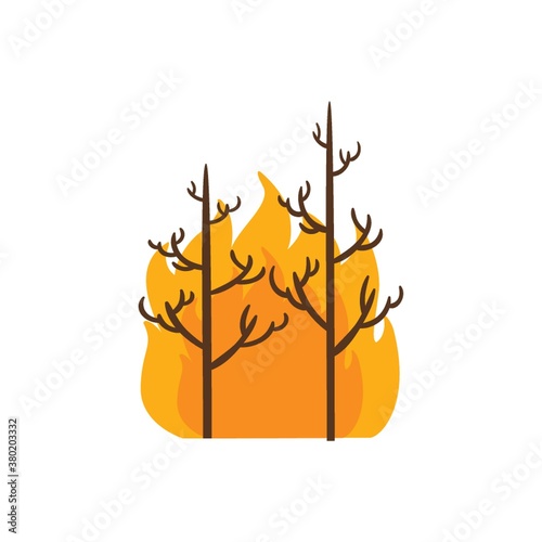Wildfire