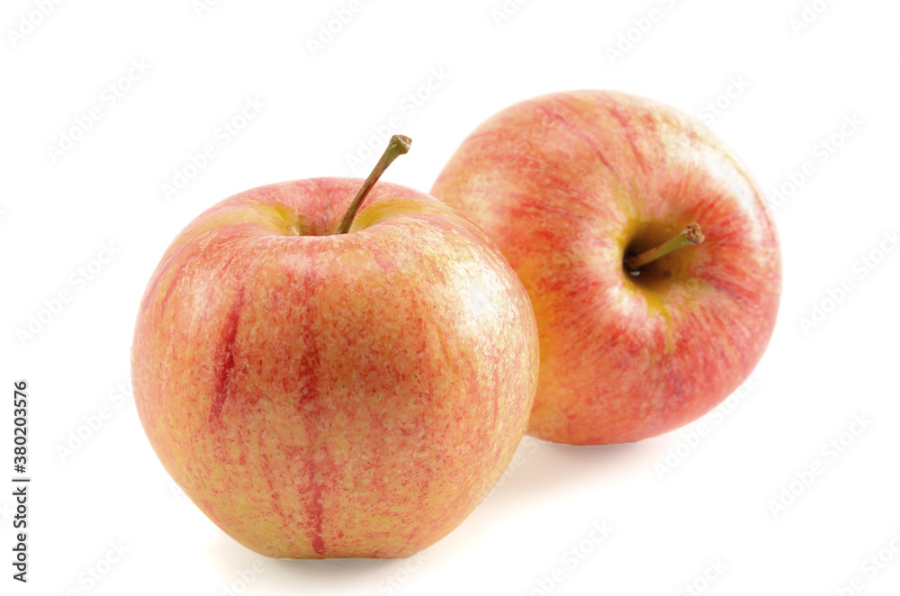 fruits of apples fruits of apples
