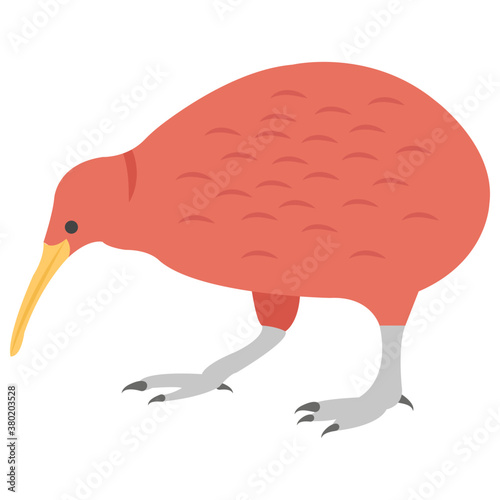 Kiwi 