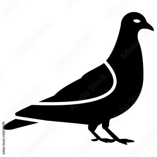 Pigeon 