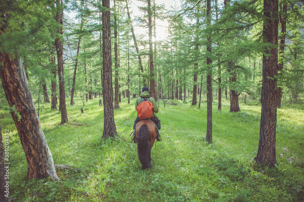 A Man Rides a Horse A Man Rides a Horse