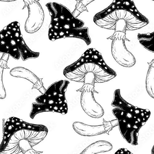 Seamless pattern. Mushrooms, amanita on a white background. Hand drawing, sketch