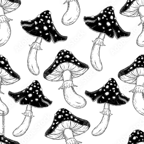 Seamless pattern. Mushrooms, amanita on a white background. Hand drawing, sketch