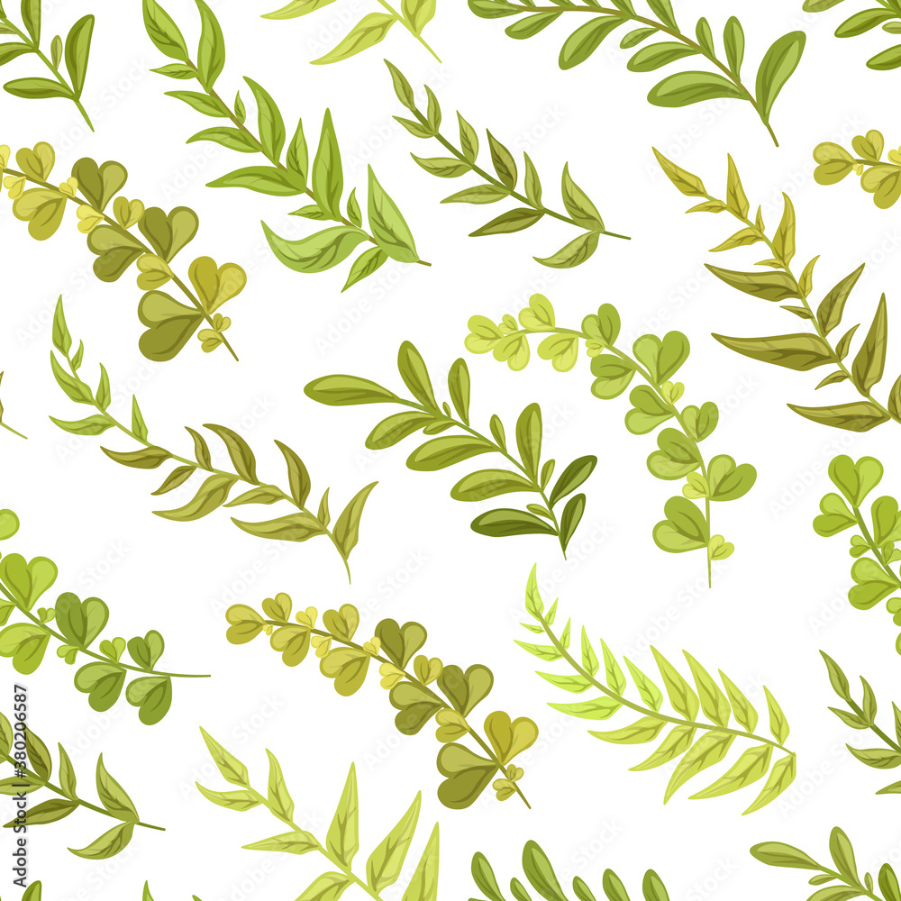 Decorative green floral ornament on a white background. Forest grass, plants, vintage style. Seamless Pattern