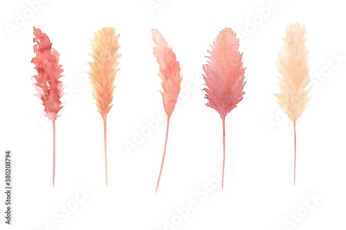 Watercolor bohemian dried leaves set isolated on white background. Warm colors pampas grass, boho wedding theme set. Hand painted. Perfect for autumn season wedding invitation.