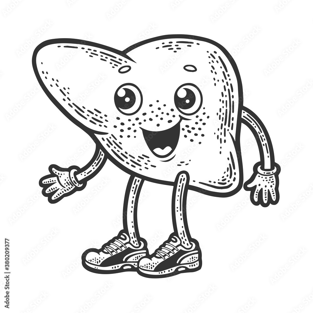 Obraz premium cartoon liver sketch raster illustration