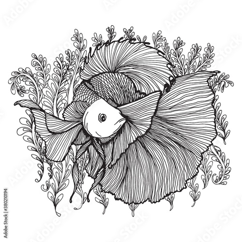 Betta fish design