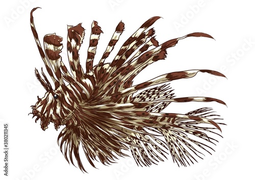Lionfish