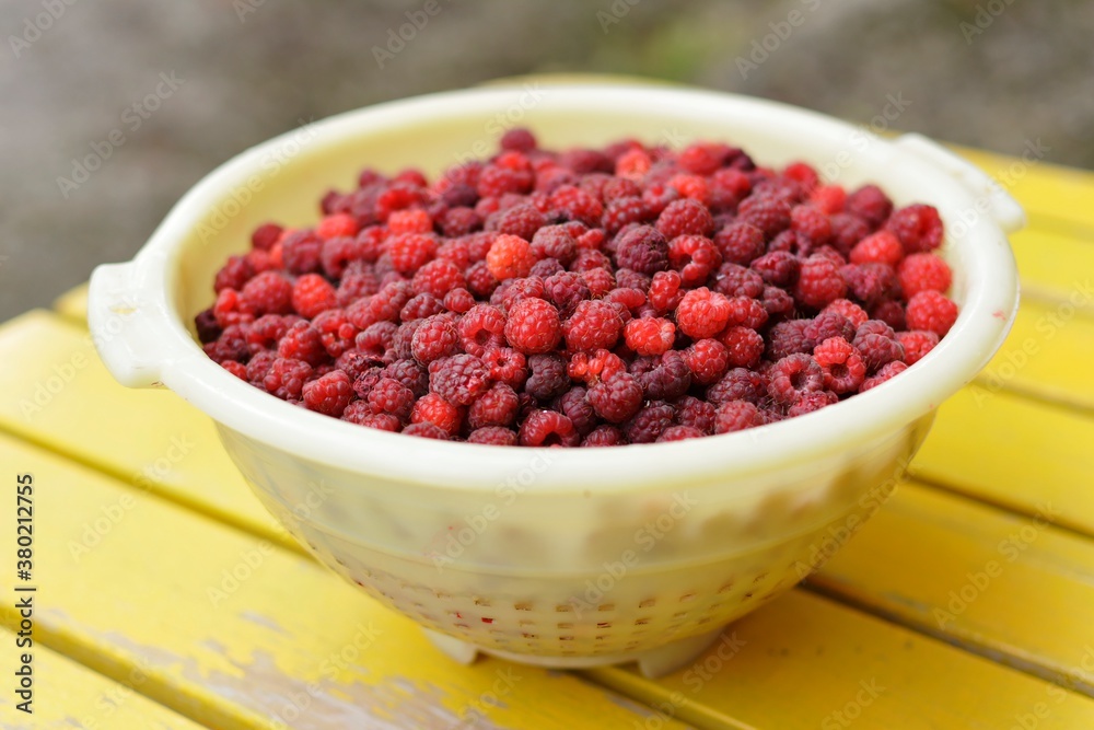 Fresh raspberries in a colander Fresh raspberries in a colander