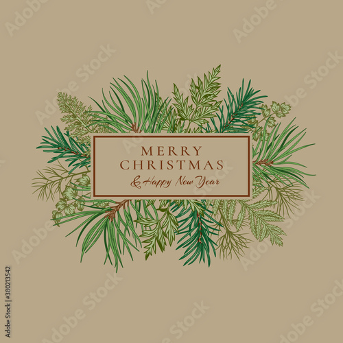 Botanical rectangular banner with coniferous branches and greenery. Vector illustration. Beige background and colorful pattern.