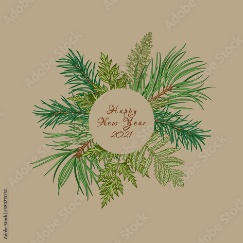 Botanical round frame with coniferous branches and greenery. Vector illustration. Beige background and colorful pattern.