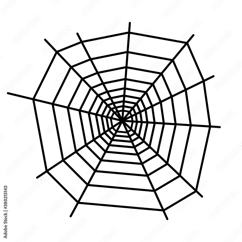 Obraz premium Spider web concept