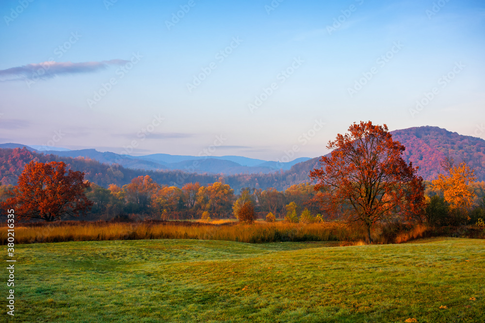 gorgeous countryside at dawn in autumn. trees in colorful foliage on the grassy field. mountains in the distance