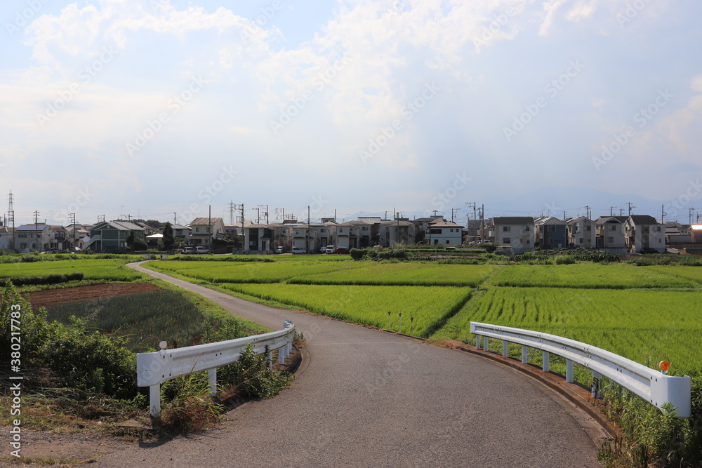 目久尻川流域の農道(神奈川県藤沢市宮原) 目久尻川流域の農道(神奈川県藤沢市宮原)