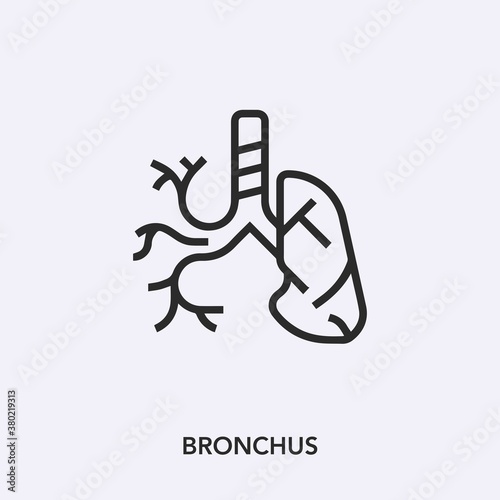 bronchus icon vector sign symbol