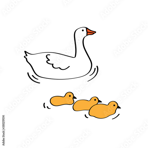 Mother geese swimming with cute little baby goslings. Vector illustration in cartoon style on isolated white background for icons, logos or cards