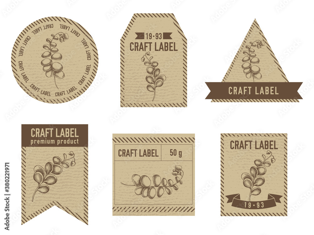 Craft labels vintage design with illustration of kalanchoe