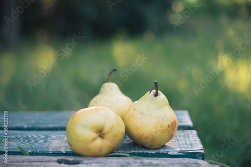Pears on bench