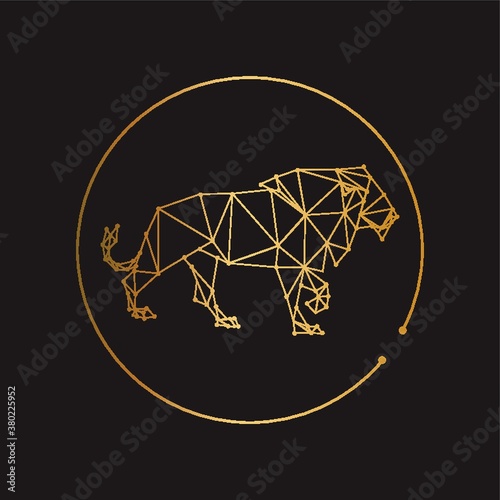 Leo icon.