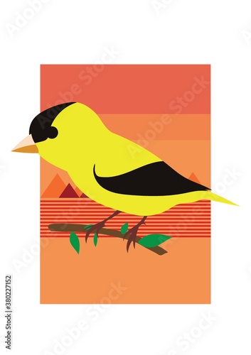 Weaver bird