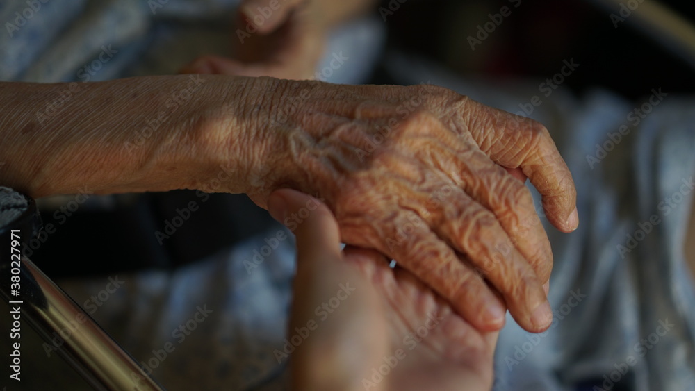 holding grandma's hand holding grandma's hand