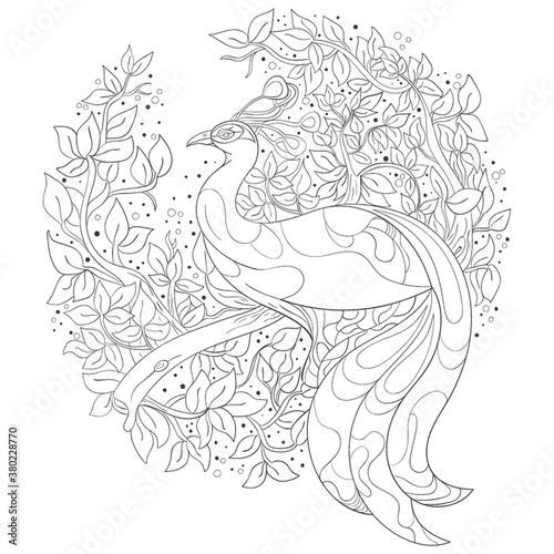 Intricate peacock design coloring book vector