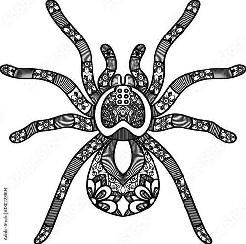 Intricate spider design