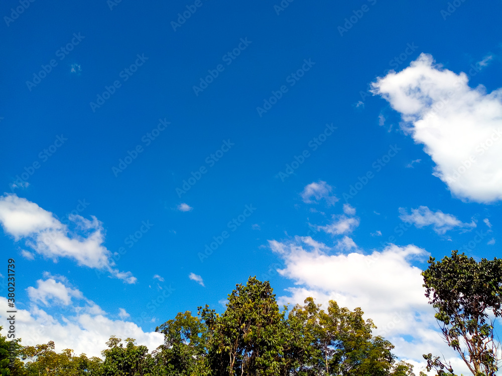 Sky and trees in daytime As natural background