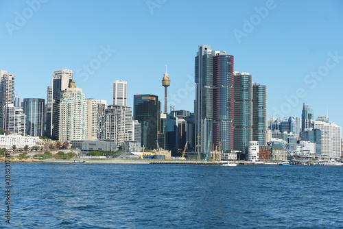 Koala, beach, and darling harbor, Sydney Australia