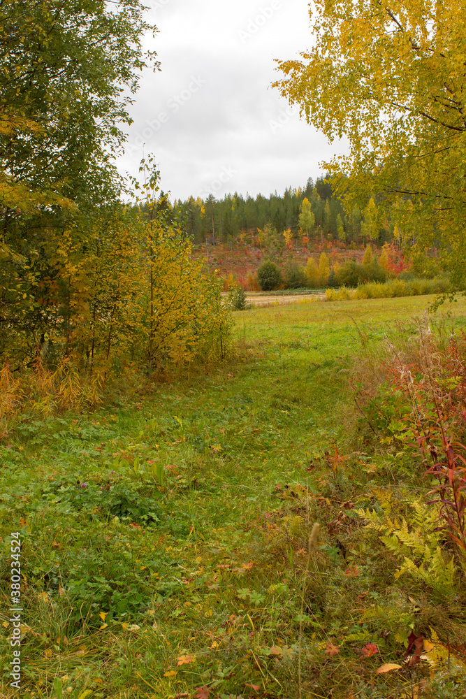 Rural landscape in the fall Rural landscape in the fall