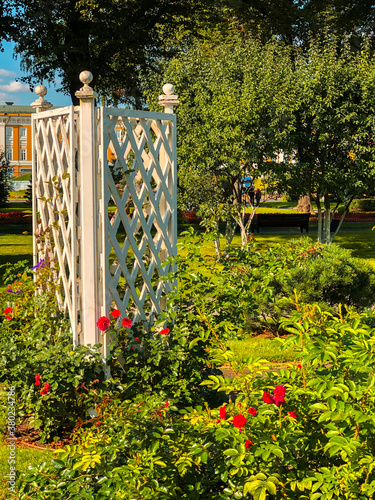 Canvas Print Colorful flowers in Moscow Kremlin gardens. Moscow, Russia.