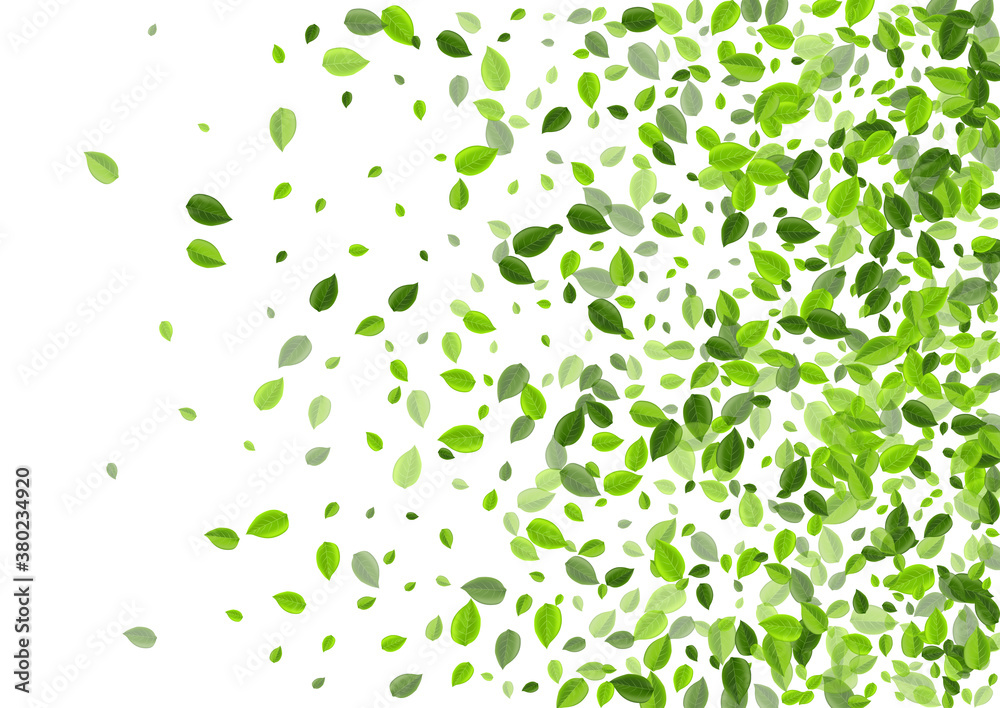 Olive Leaves Wind Vector Design. Swirl Leaf Olive Leaves Wind Vector Design. Swirl Leaf