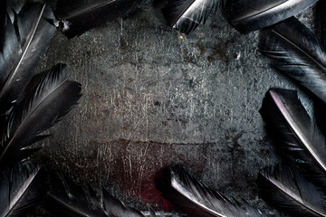 Halloween background with black raven feathers on dark grunge backdrop. Horror gothic abstract design with copyspace.