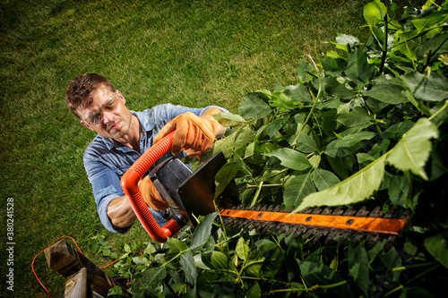 Man trimming bushes