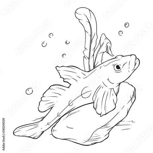 fish swimming design